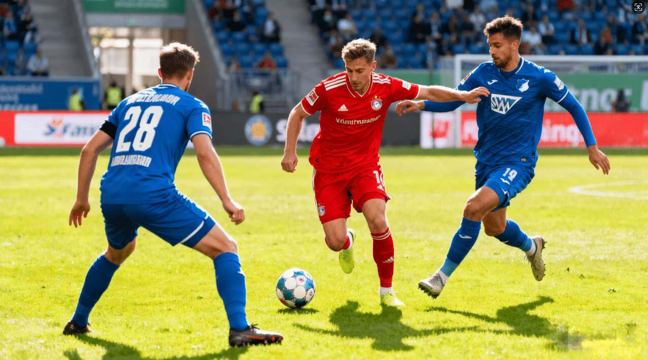 乐动体育官网新闻资讯